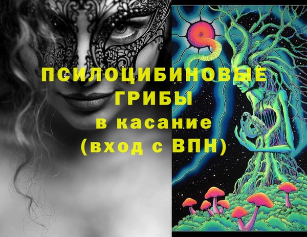 apvp Абаза
