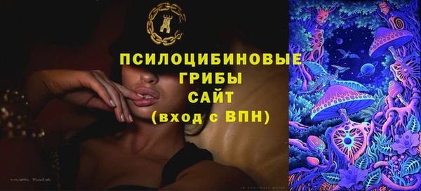 прущая мука Алзамай